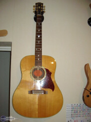 Gibson SONGBIRD DELUXE CUTAWAY