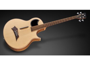 Warwick Alien 4