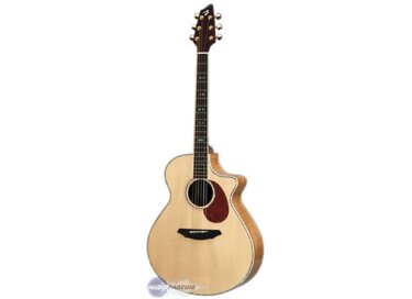 Breedlove AJ-250 SF plus