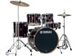Yamaha RYDEEN