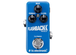 TC Electronic Flashback Mini