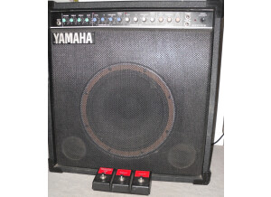 Yamaha B100-112