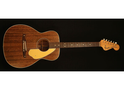 Fender Newporter (1965-1971)