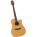 Takamine EN10C