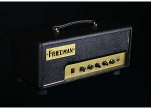 Friedman Amplification Pink Taco