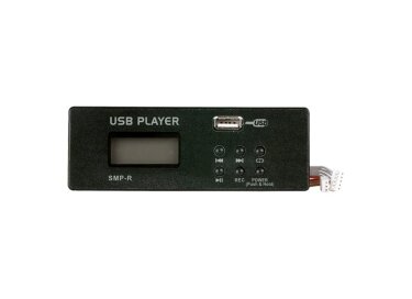 DAP-Audio MP3 USB Record Module for GIG