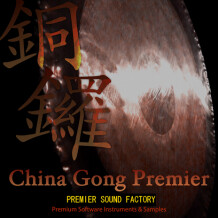 Premier Sound Factory China Gong Premier