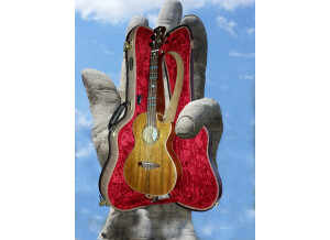 Luna Guitars tenor electroacoustique