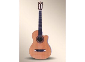 Alhambra Guitars CS-1 A CW