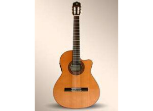 Alhambra Guitars 3C A CW E1