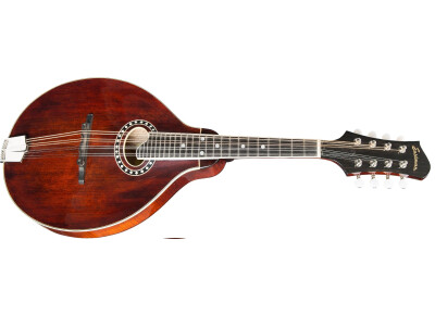 Eastman MD504