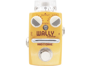 Hotone Audio Wally