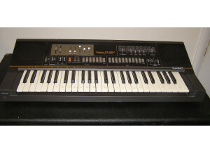 Casio Casiotone CT-410V