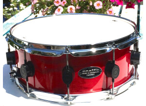 PDP Pacific Drums and Percussion SX Maple Snare 14" x 5.5"