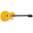 Epiphone Slash "AFD" Les Paul Special-II