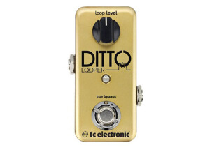 TC Electronic Ditto Looper Gold