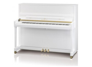Kawai K-300
