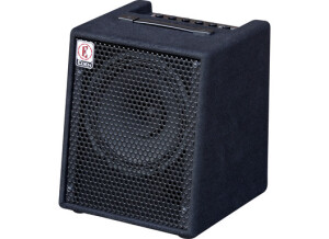 Eden Amplification EC10