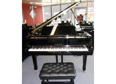 Yamaha G2 Silencieux