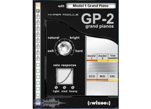 Wizoo Sound Design Hyper Module GP-2 Grand Pianos