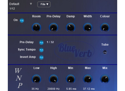 WSProAudio BlueVerb