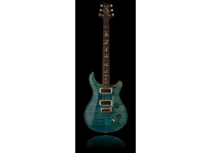 PRS Brushstroke 24