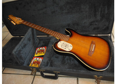 Godin Acousticaster LR Baggs