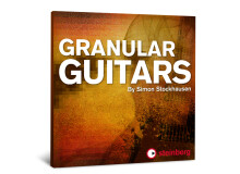 Steinberg Granular Guitars