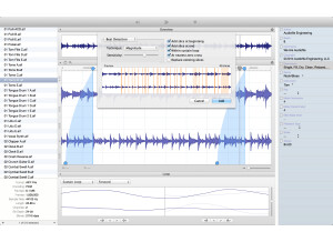 Audiofile Engineering Loop Editor 2