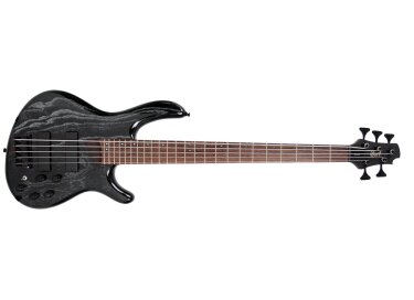 Cort Artisan B5 20th
