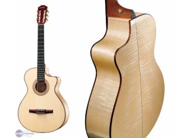 Taylor NS62CE
