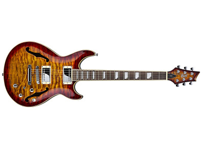 Cort M-Custom / M900