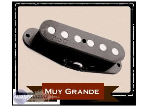 Rio Grande Pickups Muy Grande Single Coil