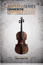 8dio Grandiose Ensemble Violins