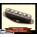 See the photo of the Rio Grande Pickups Vintage Tallboy Tele Neck Rio Grande Pickups Vintage Tallboy Tele Neck