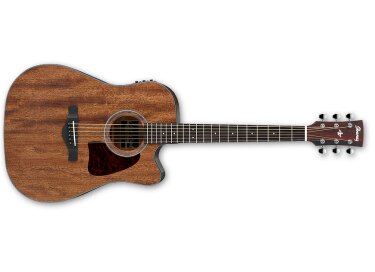 Ibanez AW54CE