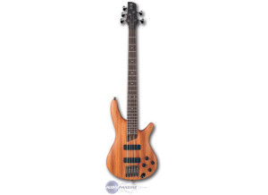 Ibanez SR3005E