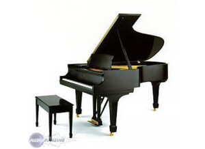 Steinway & Sons Music Room Grand - Model B