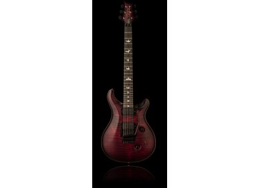 PRS Dustie Waring Limited Edition