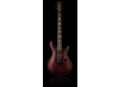 PRS Dustie Waring Limited Edition