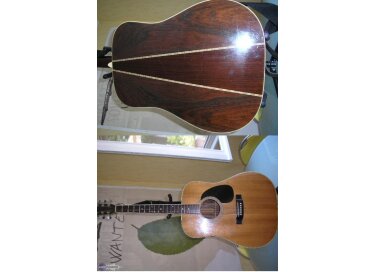 Takamine EF375S
