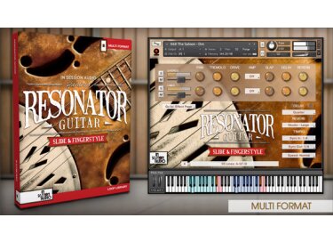 In Session Audio Resonator Guitar: Slide & Fingerstyle