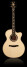 PRS launches the Angelus Tree of Life limited run