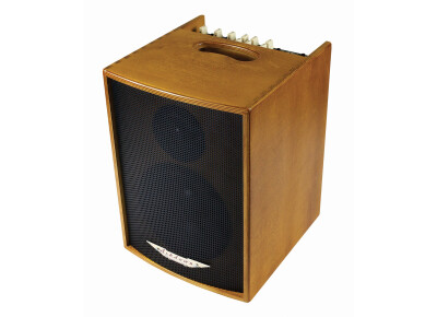 Ashdown Acoustic 100