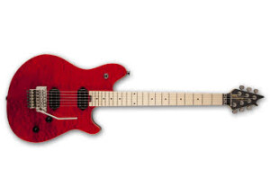 EVH Wolfgang WG Standard