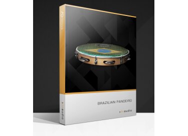 XLN Audio Brazilian Pandeiro