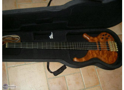 Schack Carbon 5 Fretless