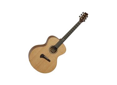 Tanglewood TSM 2