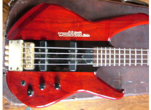 Washburn S70