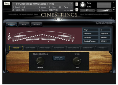 Cinesamples CineStrings Runs